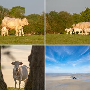 Bretagne 2019
