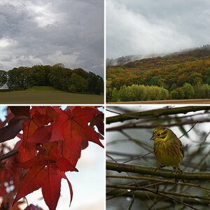 Bilder 11