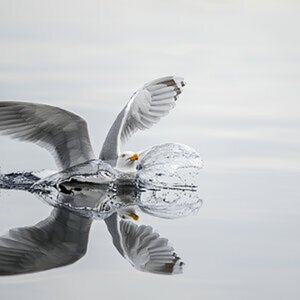 Reflexionen