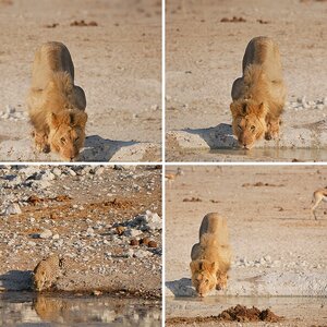 Namibia 2019