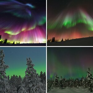 Nordlichter