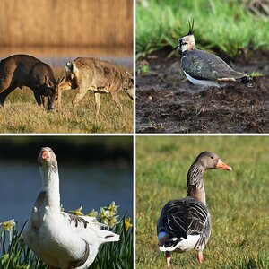 Bilder 12