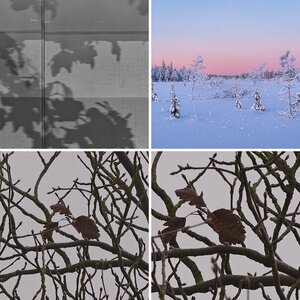 Tests, Experimente, Warenbilder