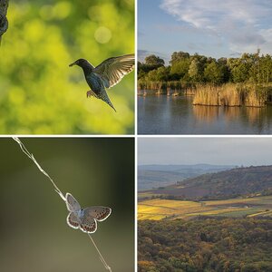 Bilder 2019