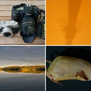 Sigma Macro