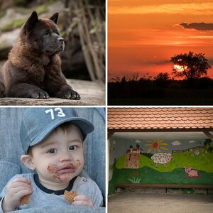 Uli's Album
