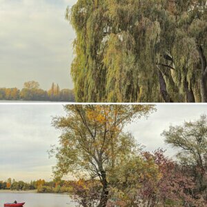 Landschaft regional