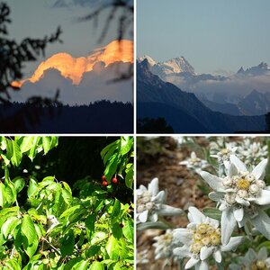 Natur