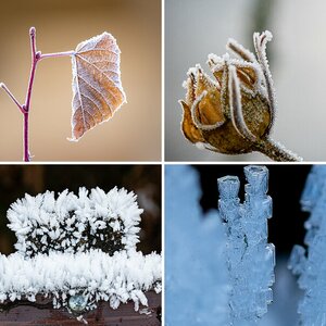 Frost