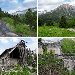 Pico Posets