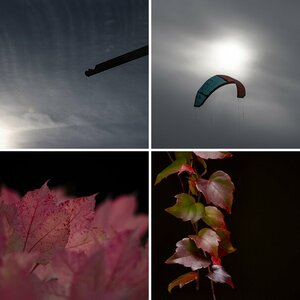 Meine Bilder