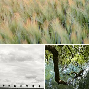 Natur - Landschaft