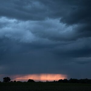Uli's Album