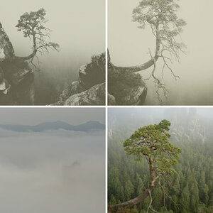 Wolken und Nebel im Basteigebiet