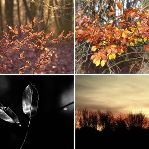 Herbst 2020