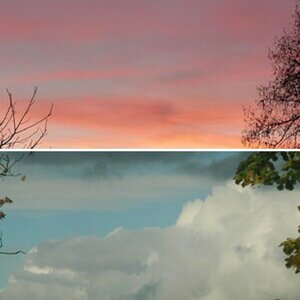 Natur