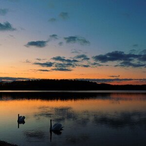 Grillensee