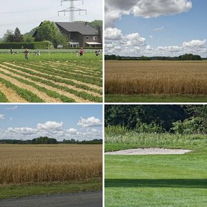 Jahreszeiten: Sommer