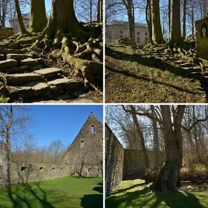 Kloster Altzella April 2021