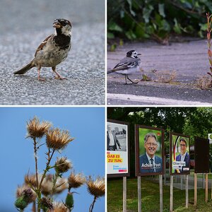 Bilder 17