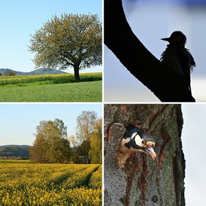 Natur und Landschaft