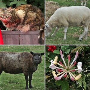 Texel 2021
