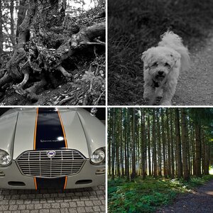 Sammelalbum Klaus