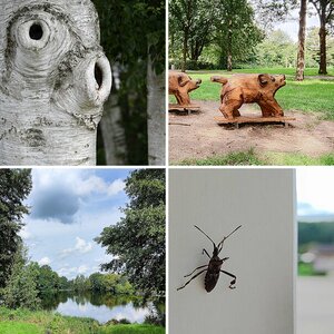 Handybilder-Notizen u -Merkhilfen