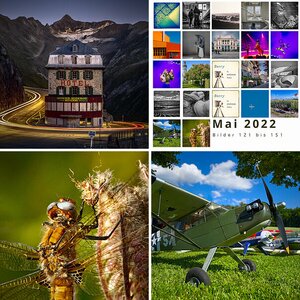 365-2022-Tagebuch