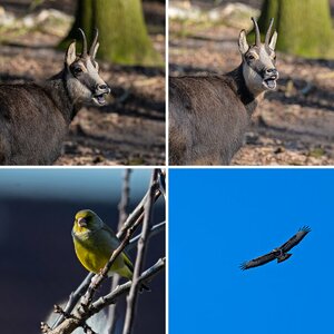 Fotos Februar 2022