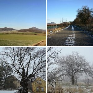 Winter im Böhmischen Mittelgebirge