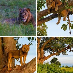 Uganda-10