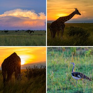 Uganda-17