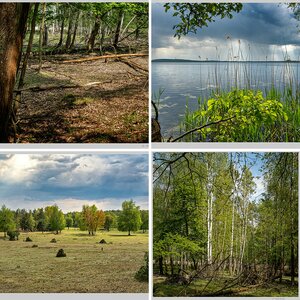 Natur statt Panzer: Naturpark Nuthe-Nieplitz