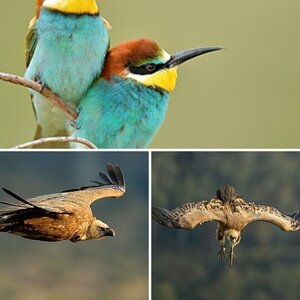 Extremadura