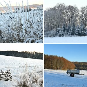 Winter ab 2022