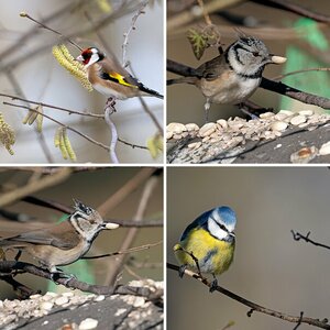 Fotos Februar 2023