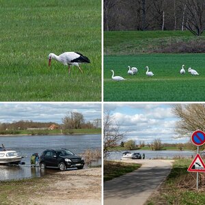 Wendland