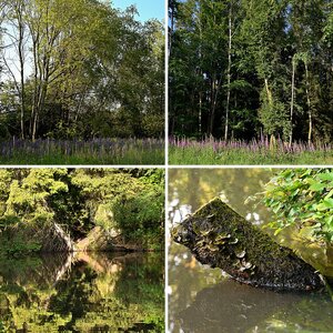 Landschaft ab  2023
