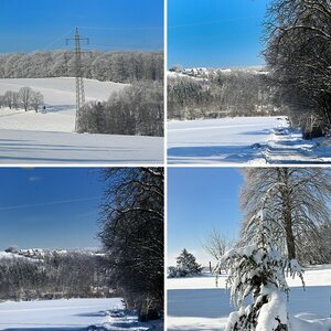 Wald ab 2023