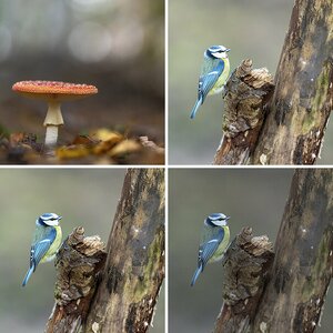 Bilder_2023