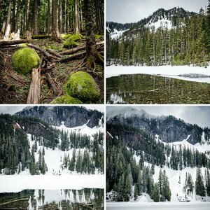 Annette Lake