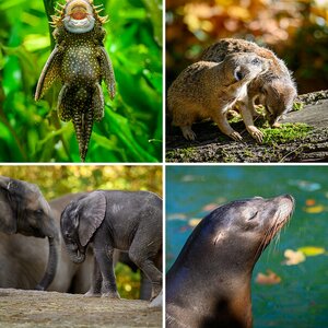 Zoo