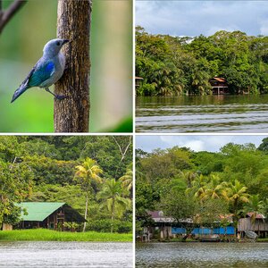 Costa Rica 06