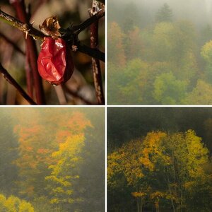 herbst