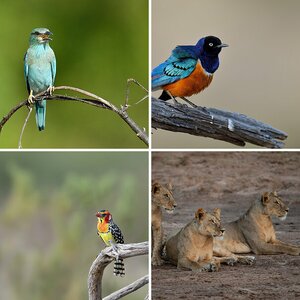 Kenia 2019