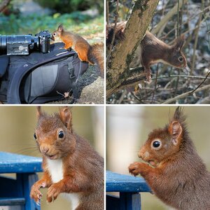 www.nikon-fotografie.de