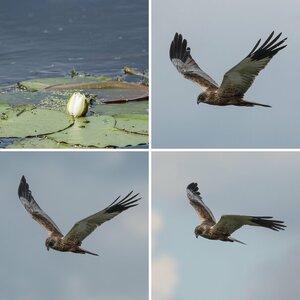 2405