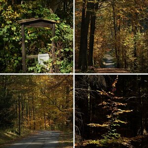 Zuhause Sommer und Herbst 2024