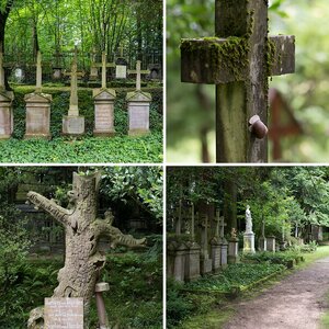 Illenauer Friedhof
